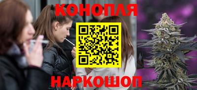 крисы Апшеронск