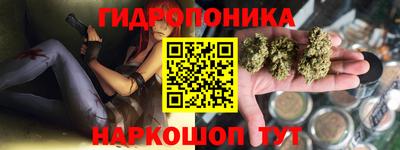 крисы Апшеронск