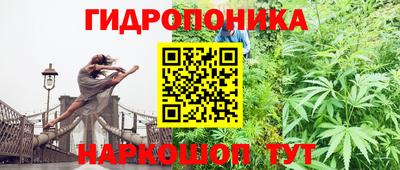 крисы Апшеронск