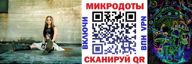 OMG ONION  Аргун  Галлюциногенные грибы ЛСД 