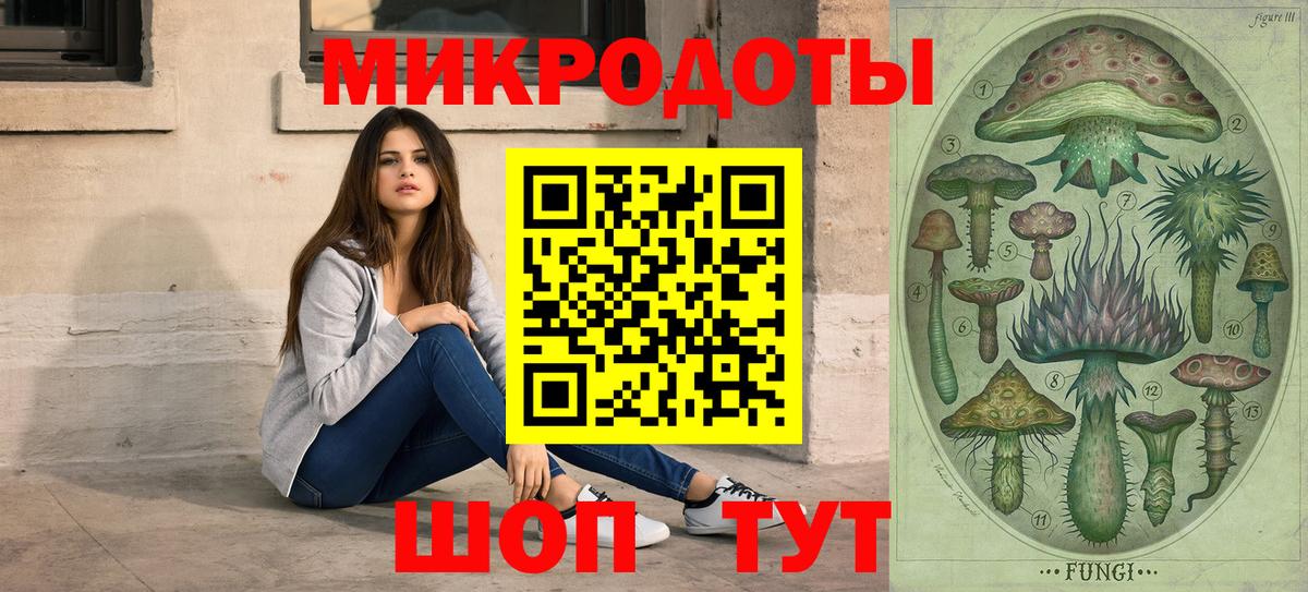 Галлюциногенные грибы мухоморы  Аргун  купить   Галлюциногенные грибы Psilocybine cubensis 