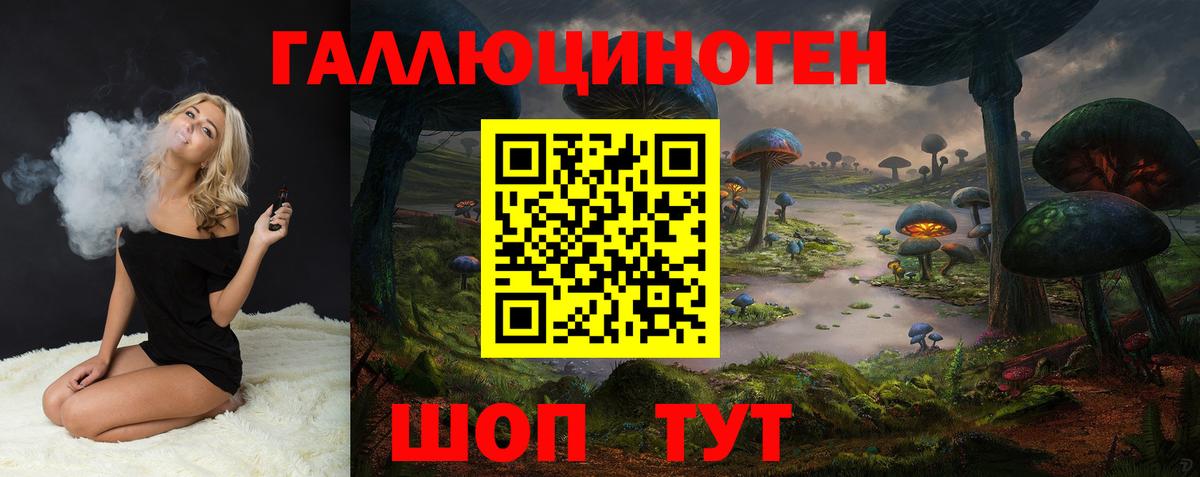 закладка  Галлюциногенные грибы мухоморы  Вход с VPN  Аргун  Галлюциногенные грибы Psilocybe 