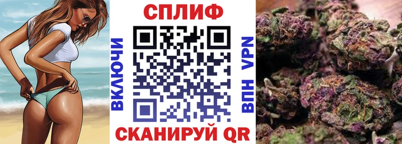 Марихуана SATIVA & INDICA  omg ТОР  Аргун 